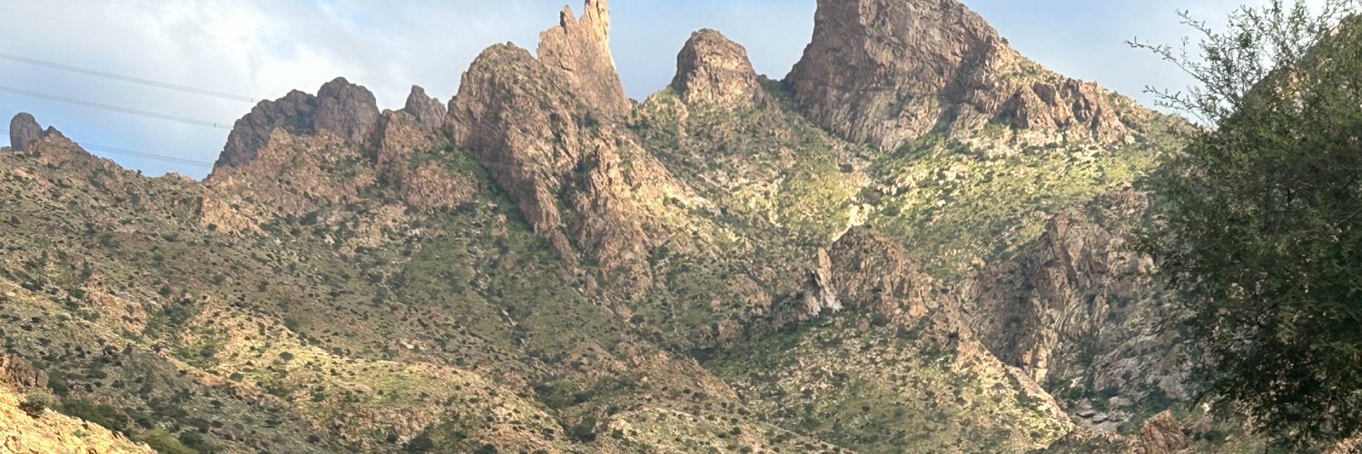 فيصل الهذلي |مقاوم لعدة أمراض نفسية| كاتب سيناريو's banner