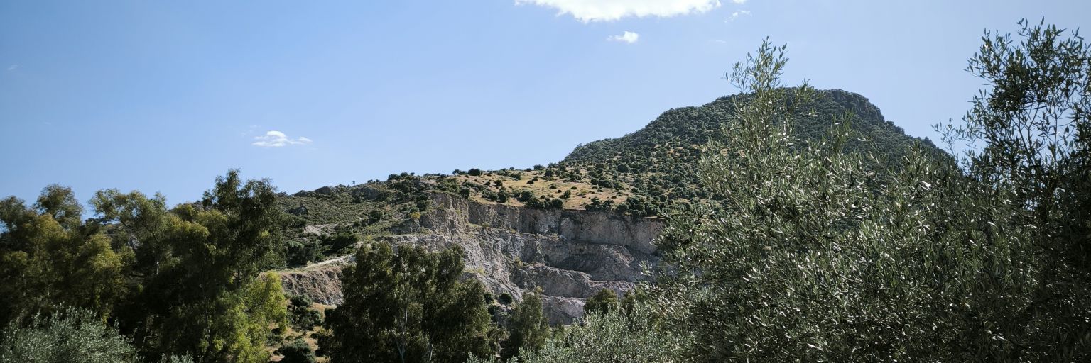 Pseudo-Castellano's banner