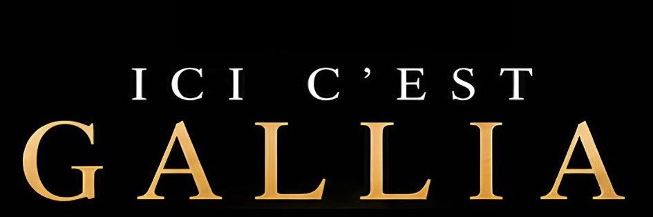 Charles_de_GALLIA's banner