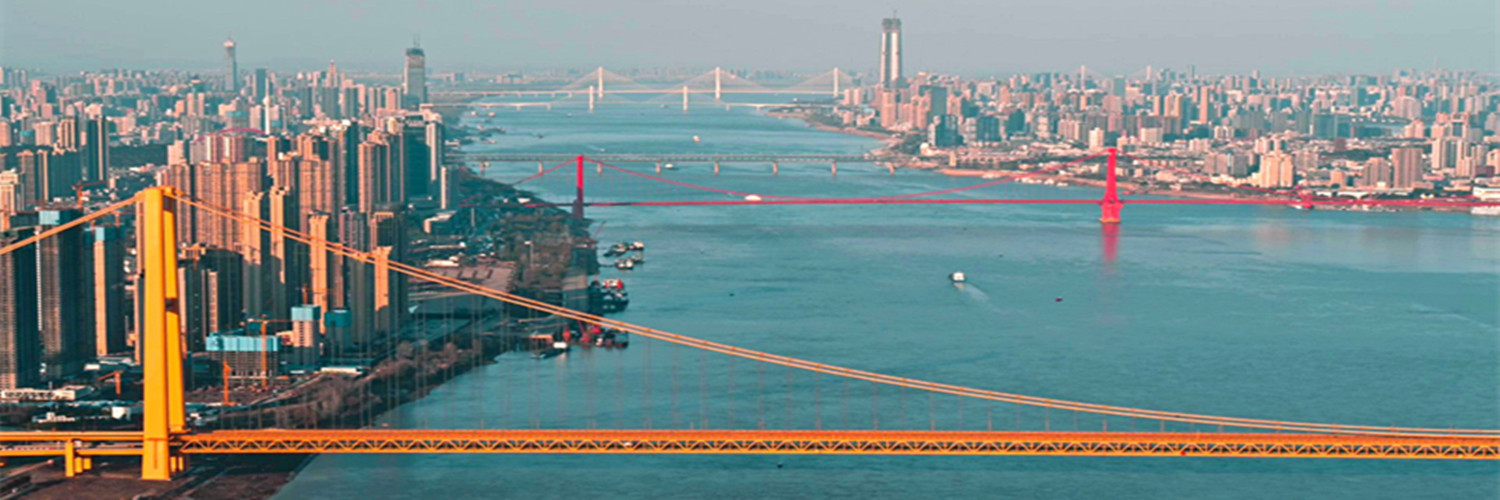 Wuhan Plus's banner