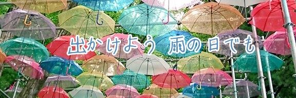珠里's banner