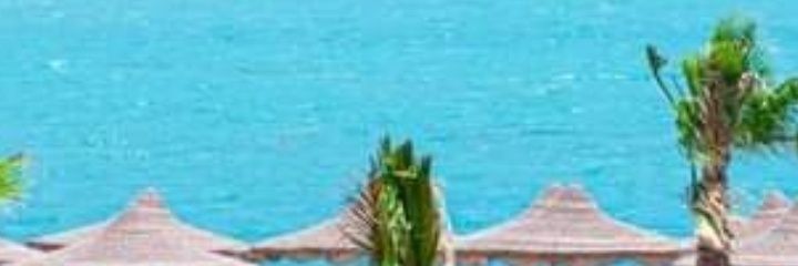 Heba mustafa's banner
