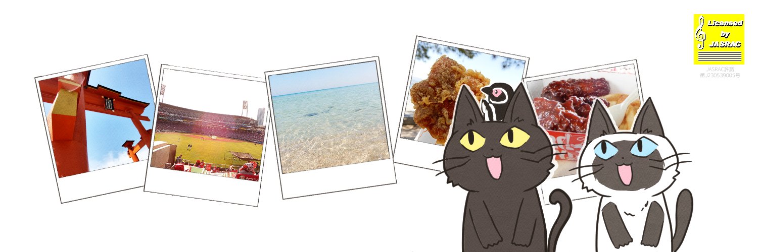 こぬこ⛩️'s banner