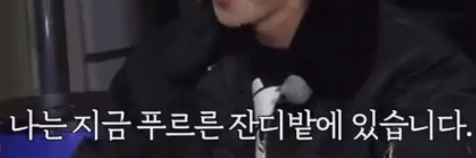 푸르's banner