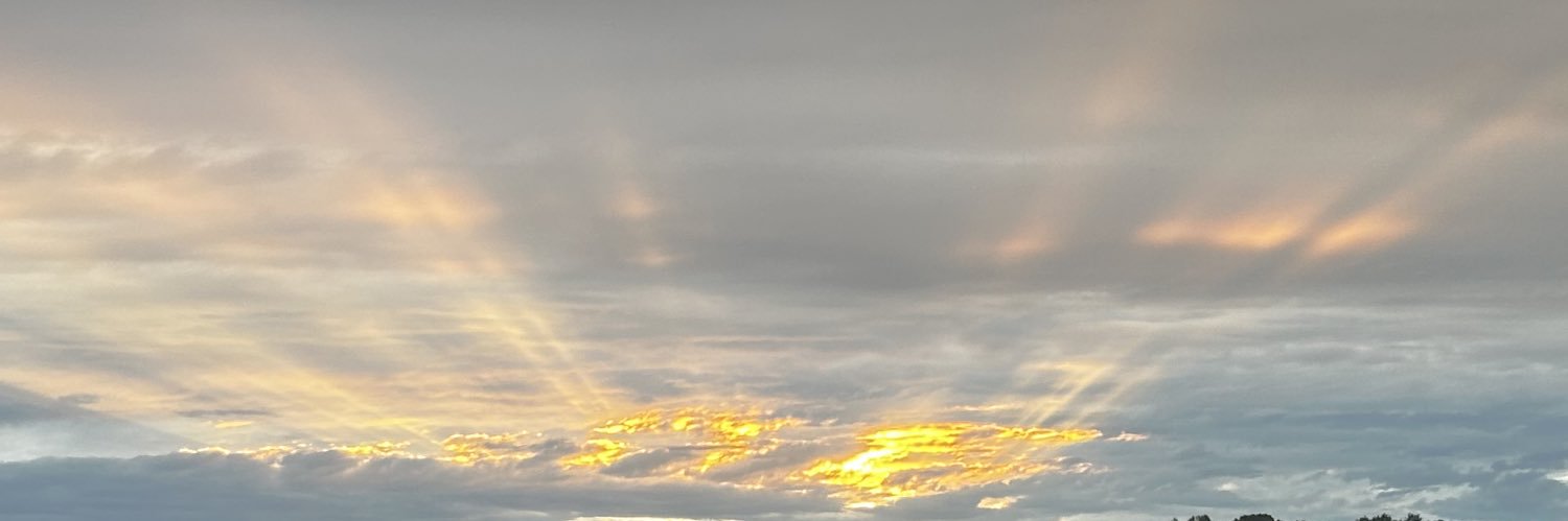 RedBone🤭's banner