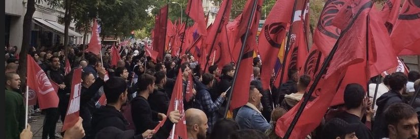 Alicia Sanz's banner