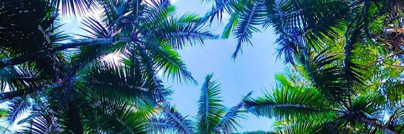 ℤ𝕒𝕚𝕕𝕖𝕟 ℂ𝕣𝕒𝕚𝕟's banner