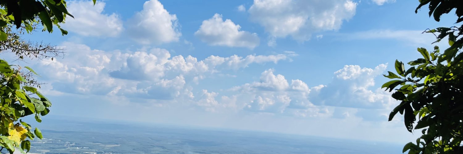 Long_Zing's banner
