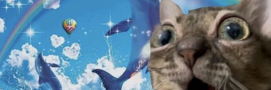 AngelCatze😇's banner