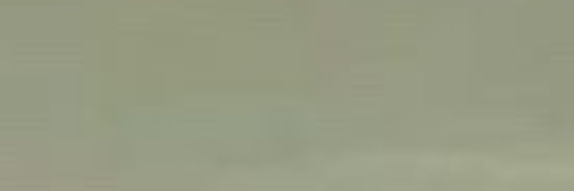 Sh 𐙚's banner