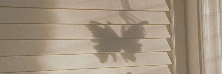 kenzie's banner