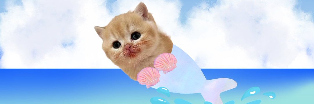 ชลน แมวส้มแท้ๆ 🐱's banner
