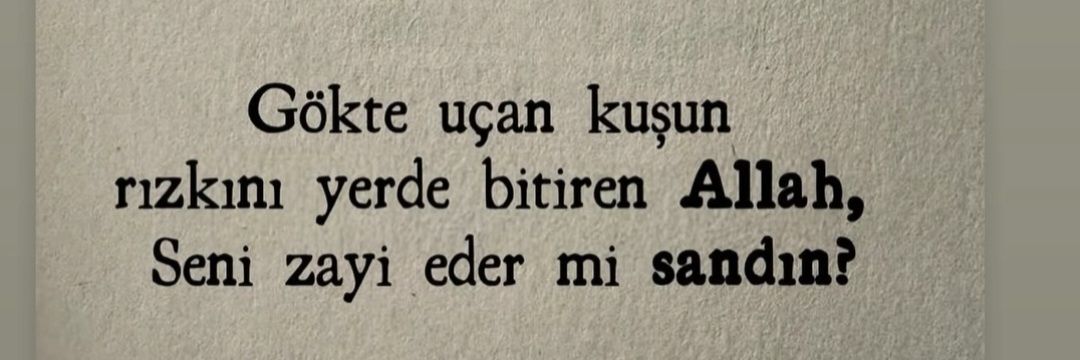 Vatan Sevdalı'M's banner