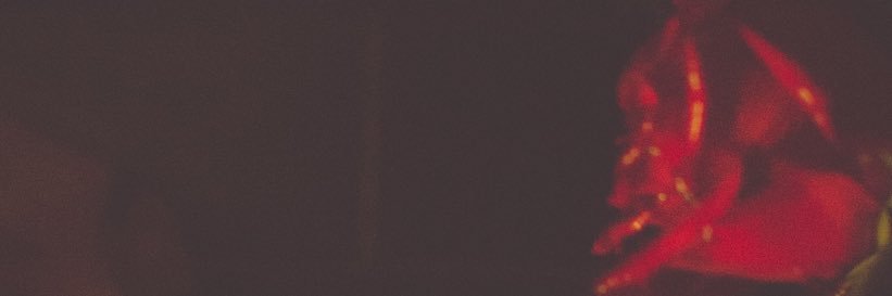 Saint Avery Carter's banner