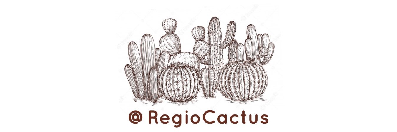 @CactusRegios's banner