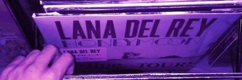 Lua🌙's banner