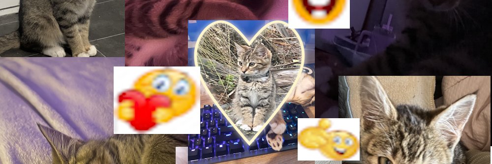 Use's banner