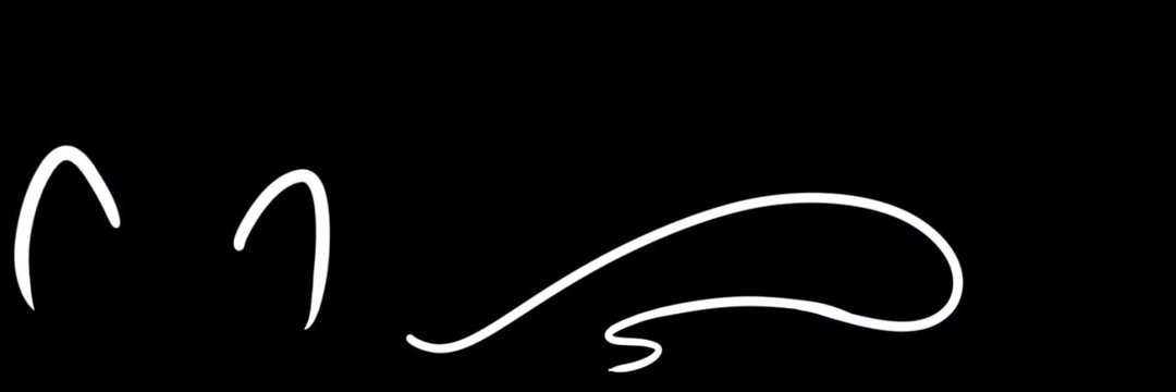 OAS whitecatw's banner