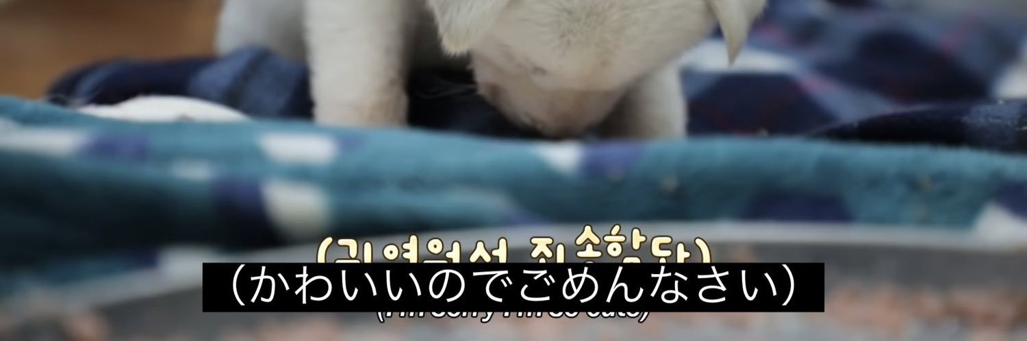 草ㄘゃꩢ's banner