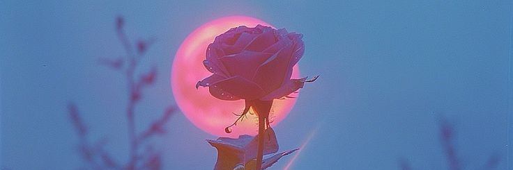 rei🌹🔥's banner