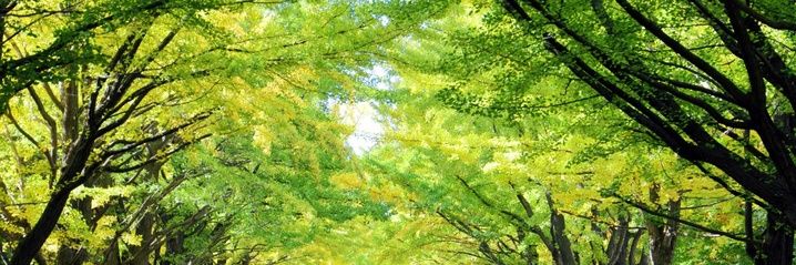 山谷昇一🇯🇵's banner