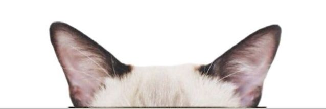 ติ๋ม's banner