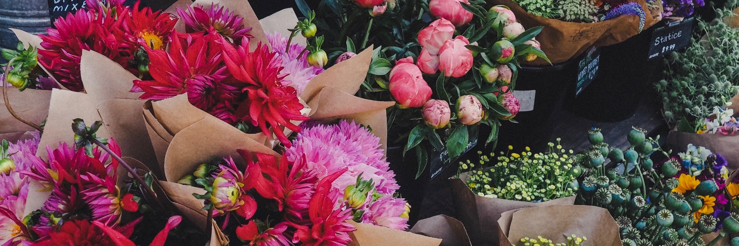 marina 🌸's banner