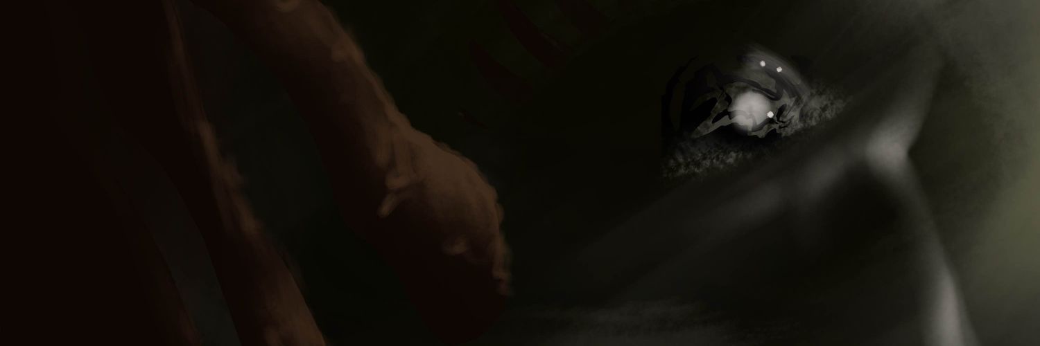 y3's banner