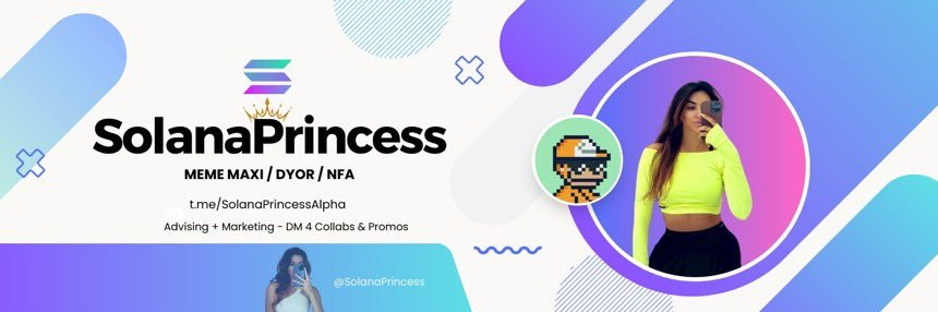 👑 SOL PRINCESS 🛡️'s banner