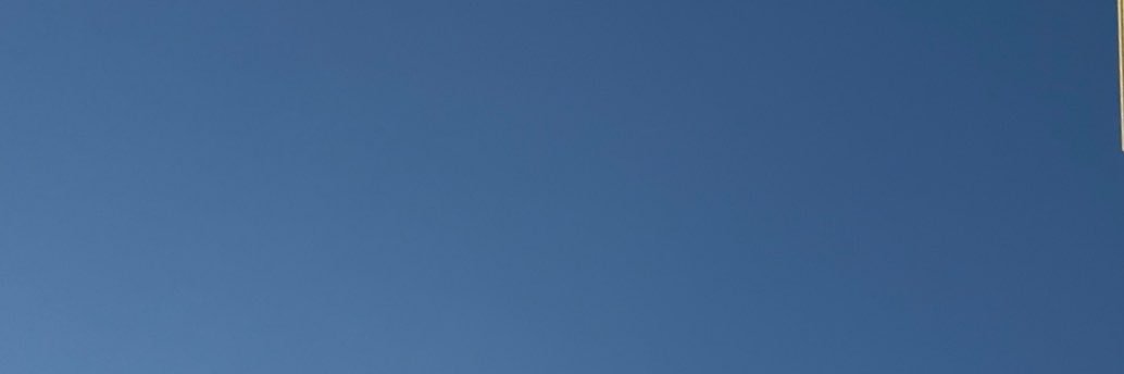 Yuan's banner