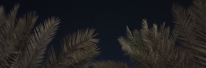 🌴هند 🌴's banner