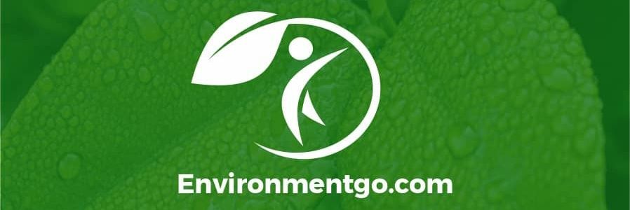 EnvironmentGo!'s banner