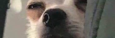 NATCHYQ's banner