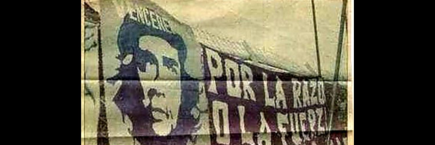 Del Emelec toda la vida ⚽💡's banner