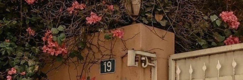 joj's banner