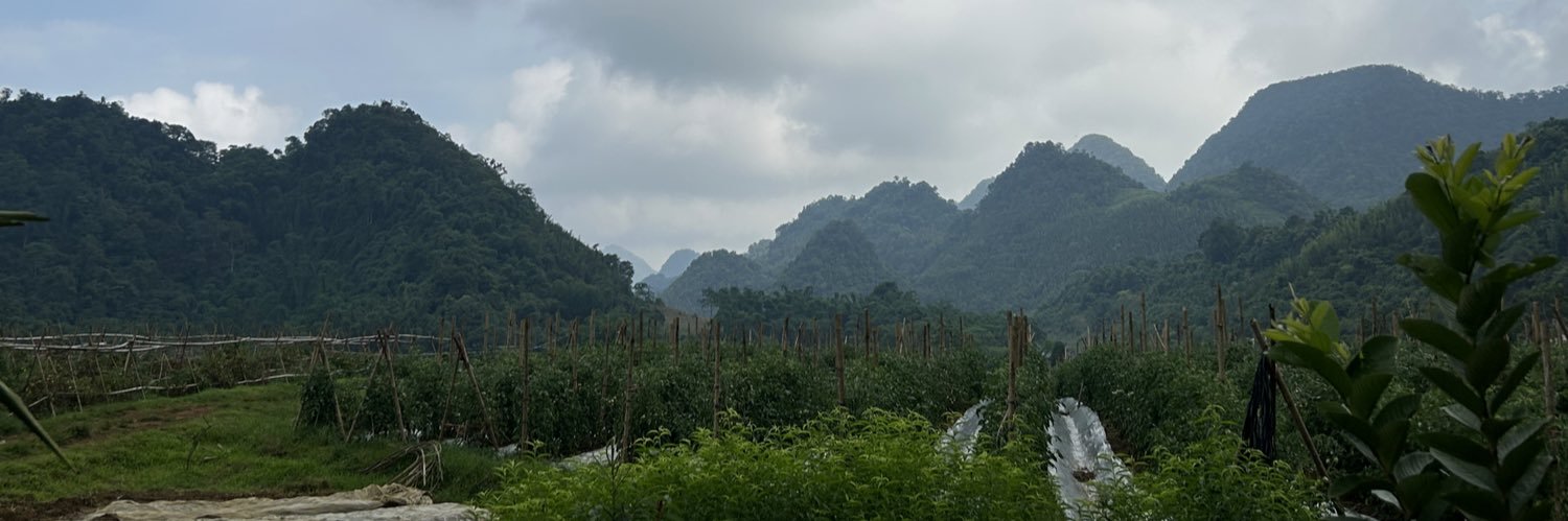 Sase🇻🇳ハノイ　ベトナムで野菜販売と浄水器事業展開's banner