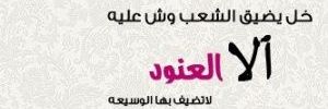 آلُعنْۆدِ 🇸🇦💗's banner