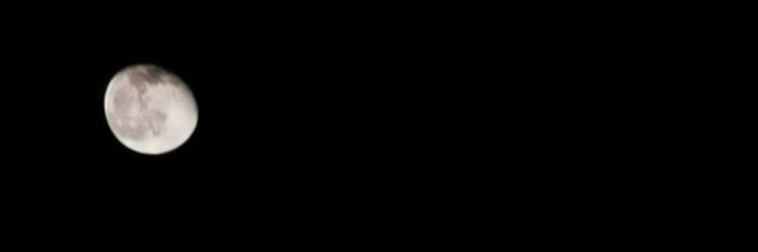 Ye1_2_1 kins's banner