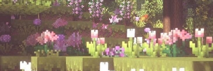 FER (aniker) ✮⋆˙'s banner