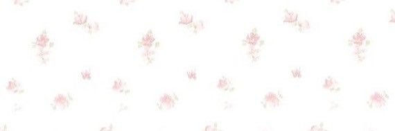 ve ✩‧₊˚🎀's banner