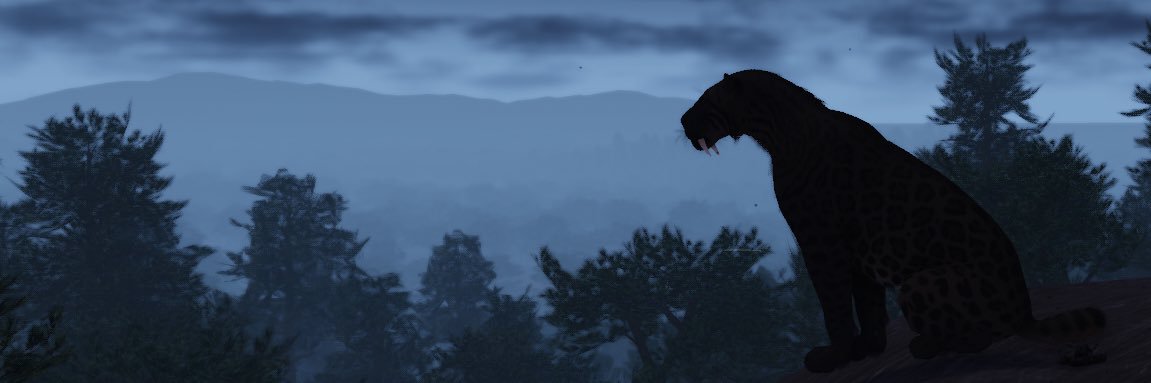 Charlie's banner