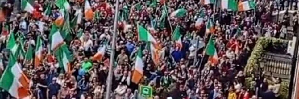 The Irish wolfhound's banner