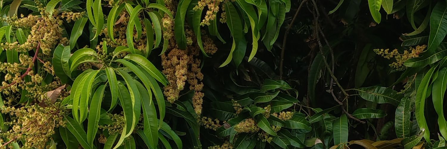 sandali's banner