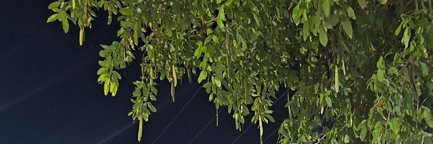 TarzPutinho's banner