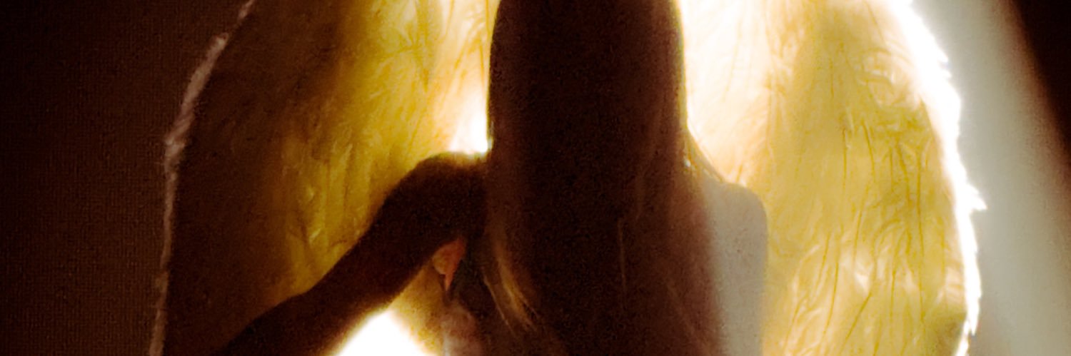 MADY ꕤ 𝓹𝓮𝓽𝓪𝓵's banner
