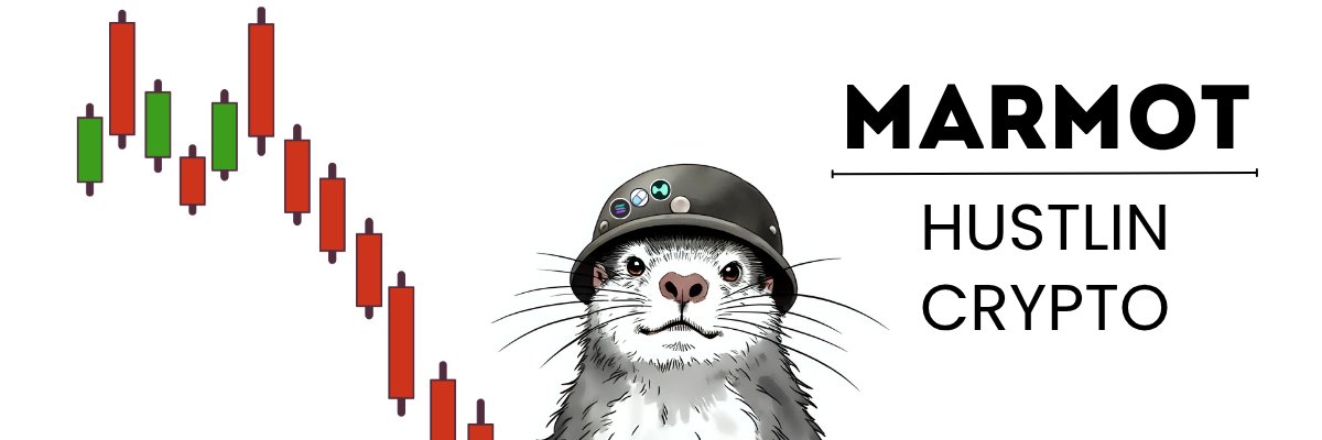 MARMOT's banner