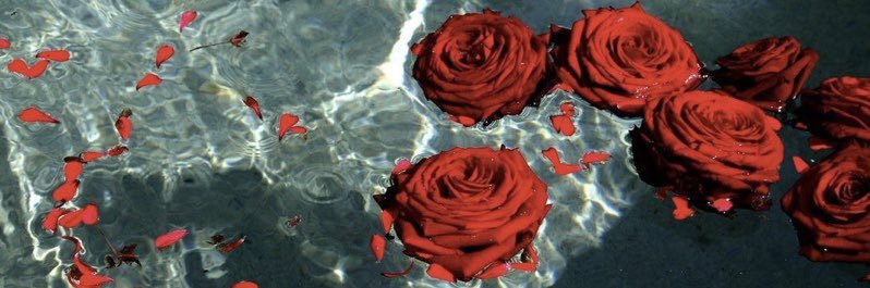 M 🌹's banner