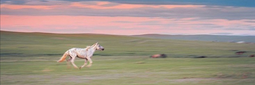 نغم's banner
