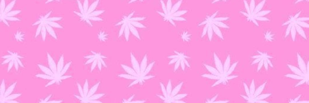 pakinha's banner