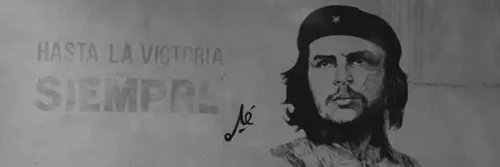Saniya's banner